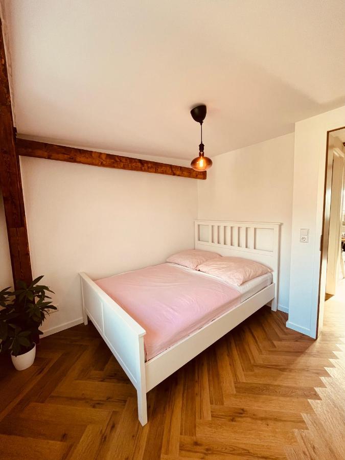 Jugendstil-Altbauwohnung Mit Dachterrasse Direkt An Der Karlsaue Kassel Exterior foto